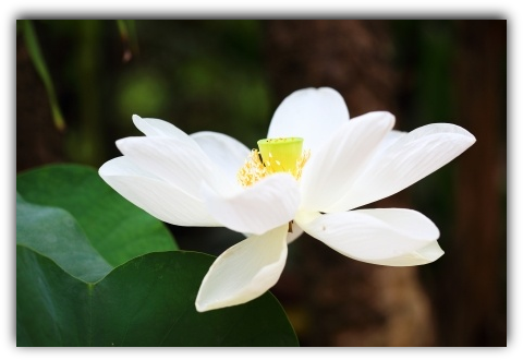 meditation quotes