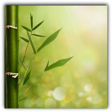 spiritual awakening quotes spiritual awakening quotes