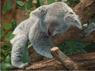 meditation posture